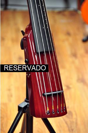 NS Design WAV5c Double Bass Trans Red NS Design WAV5c Double Bass Trans Red